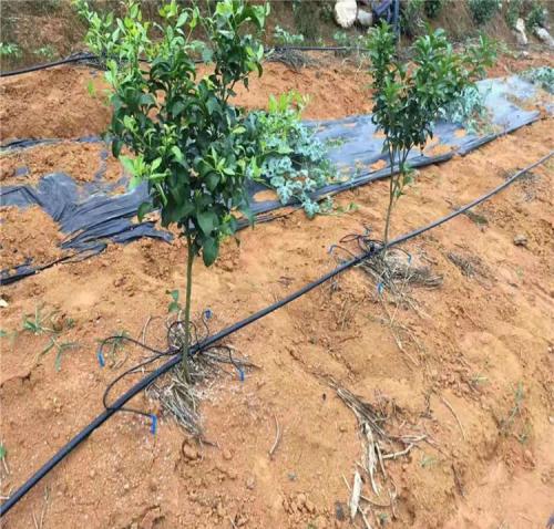 hdpe pipe home depot